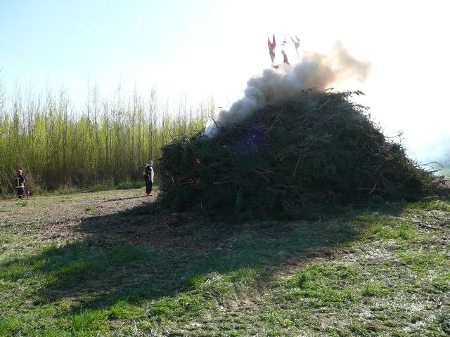 carnaval 01 avril 2012 (84).jpg